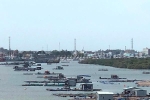 Bà Rịa – Vũng Tàu: Quyết di dời cơ sở nuôi trồng thủy sản ngoài vùng quy hoạch