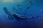 Video: Quái vật 580 triệu năm săn 'tàu vũ trụ' dưới đáy biển sâu
