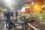 Đà Nẵng: Liên tiếp cháy nhà, đổ cây trong một ngày, báo động ẩn họa mùa nắng nóng