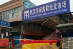 Chuyên gia: Chợ Hải sản Vũ Hán không phải là nơi bắt nguồn của Covid-19