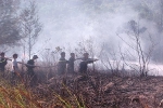 Nắng nóng gay gắt, Đà Nẵng có nguy cơ xảy ra cháy rừng trên diện rộng