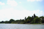 Bình Dương: Chính quyền ở đâu khi sông Thị Tính, sông Sài Gòn đang bị 'bức tử'?