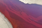 Dòng sông Bắc Cực bỗng nhuộm màu đỏ rực như máu, và lý do đằng sau sẽ khiến bạn cảm thấy đau lòng