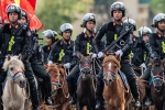 Nhiệm vụ của cảnh sát kỵ binh là gì?