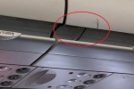 Đang điều tra vụ rắn cảnh xuất hiện trên chuyến bay từ TP.HCM