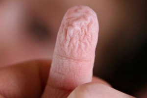 Phát hiện kỳ thú: Vì sao đầu ngón tay nhăn nheo khi ngâm vào nước?