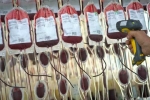 Tại sao nhóm máu Bombay quý hiếm nhất thế giới?