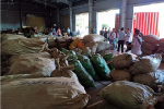 Đà Nẵng: Phát hiện hơn 100 tấn dược liệu 'đội lốt' hàng nông sản