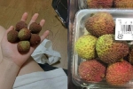 Dân mạng Việt khoe những trái vải bán trong siêu thị Nhật, 120k được mỗi 7 quả mà vẫn 'cháy hàng'