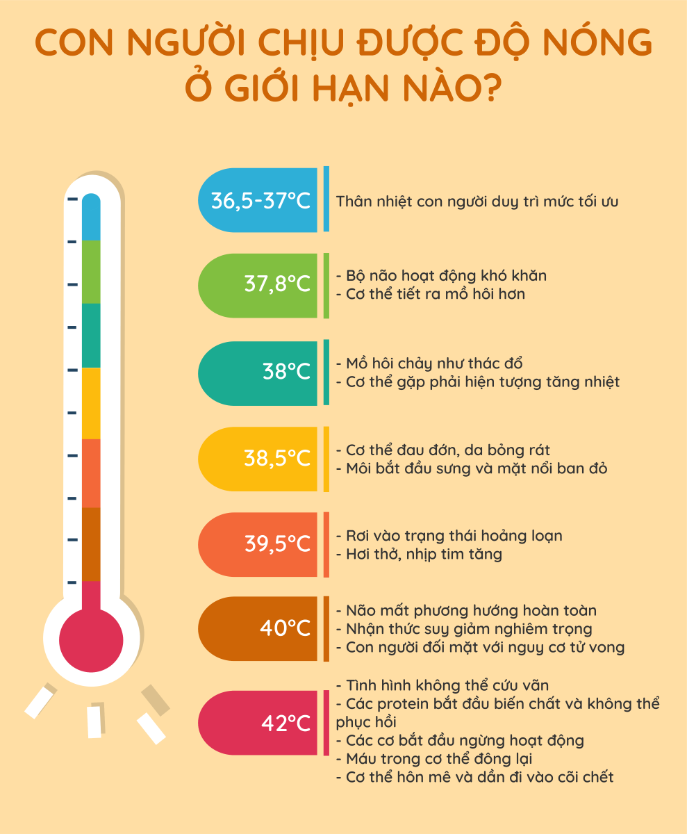 Infographic Cơ Thể Con Người Chịu được Tối đa Bao Nhieu độ