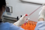 Phát hiện chủng virus cúm mới có 'tiềm năng gây đại dịch' ở Trung Quốc