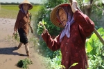 Kệ trời nắng, cụ bà 88 tuổi vẫn đi cấy, trồng rau nuôi gà chỉ để… cho hàng xóm