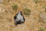 Hàng trăm con voi chết bí ẩn, một số chúi mặt xuống nước tại Botswana