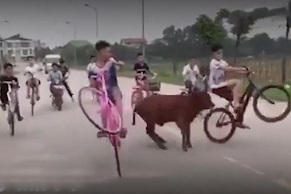Kỹ thuật bốc đầu xe đạpNPP độc quyền xe đạp Giant tại Việt Nam