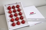 Cherry Nhật đắt kỷ lục, hơn 4 triệu đồng/quả có gì đặc biệt?
