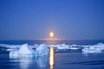 Nghiên cứu: Nam Cực đang nóng lên nhanh hơn gấp 3 lần so với phần còn lại của thế giới