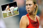 Sharapova và sự cố gây 'bão mạng' sau lời khen David Beckham