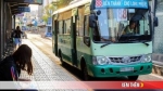 Không đủ ngân sách, xe buýt TPHCM nguy cơ dừng hoạt động từ 15/8/2020