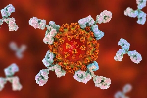 'Các kháng thể chống Covid-19 yếu dần sau 2-3 tháng khởi phát bệnh'