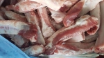 Thịt lợn rẻ giật mình 50 nghìn/kg, chất đầy kho bán cả tấn