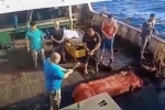 Những ngày cuối của 4 thuyền viên Indonesia trên tàu TQ bị ném xác