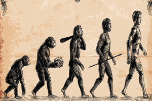 Loài người có còn tiến hóa nữa không?