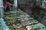 Một gia đình ở Sóc Trăng bị tạt trứng thối trộn nhớt