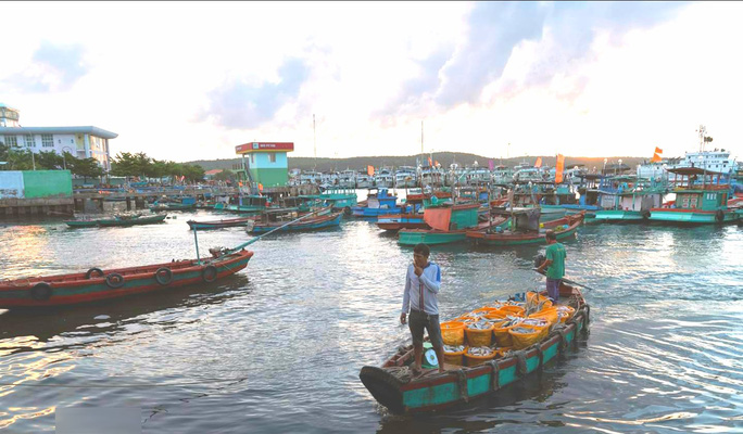 Mãn nhãn tại cảng cá lâu đời ở đảo ngọc Phú Quốc - Ảnh 2.
