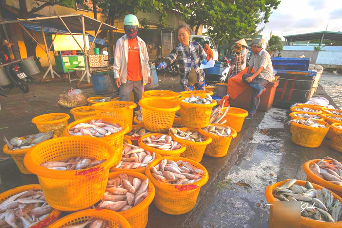 Mãn nhãn tại cảng cá lâu đời ở đảo ngọc Phú Quốc - Ảnh 7.