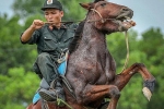 Cảnh sát cơ động thuần hóa ngựa chiến 'bất kham'