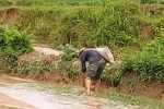 Mường Pồn (huyện Điện Biên): Nhiều diện tích lúa bị thiệt hại do mưa lũ