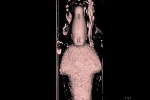 Các nhà khoa học không thể tin vào mắt mình khi nhìn ảnh chụp CT xác ướp 3000 tuổi, bên trong có gì vậy?