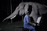 Chú voi già từng bị bạo hành ứa nước mắt khi được nghệ sĩ chơi đàn piano cho nghe