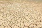 Hạn hán ở 6 tỉnh Bắc Trung Bộ: 'Bằng mọi giá không để dân thiếu nước'