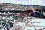 Clip: Bị đàn chó săn dồn vào đường cùng, báo sư tử rơi xuống vách núi