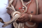 Video: Lễ rước hàng trăm con rắn trên đường phố Ấn Độ