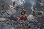 Ấn Độ lập 40 mỏ than 'tự chủ', rừng cổ thụ 1,7 tỷ m2 bị đe dọa