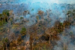 Amazon vào mùa cháy rừng, khởi đầu nghiêm trọng nhất một thập niên