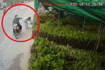 CLIP: Màn trộm chó 'hội đồng' táo tợn, 2 thanh niên dọa bắn súng điện vào người chủ