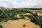 Mực nước sông Hồng ở Hà Nội lên nhanh, nguy cơ ngập lụt vùng trũng và bãi bồi