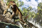 Phát hiện vết răng cá sấu 13 triệu năm trước