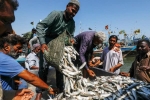 Ngư dân Pakistan lo sợ tàu cá Trung Quốc vơ vét tài nguyên biển
