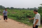 Nhân chứng vụ chồng nghi giết vợ ở Hà Nội: Lần theo vết máu, bất ngờ khi đến bụi cây