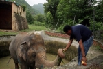 Con voi 'cô đơn nhất thế giới' được giải cứu