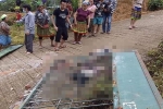 Vụ đổ cổng trường ở Lào Cai do đông học sinh đu bám