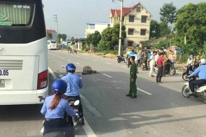 Thái Nguyên: Đi xe máy tông chết nghé, một thanh niên nhập viện
