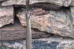 Clip: Cá trê treo mình giữa miệng hai con rắn độc