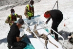 Chú sơn dương xấu số sẩy chân xuống hồ hóa xác ướp 400 năm