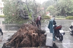 Bão số 5: Gió bão mạnh quật ngã hàng loạt người đi xe máy ở TP Huế