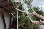 Hai phụ nữ ở Quảng Bình bị thương trong cơn bão số 5